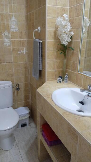 Acogedor Apartamento Jv36 Cordoba Exterior photo